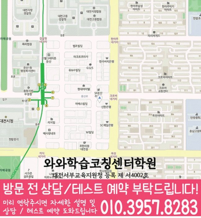 둔산동 영어학원 지도